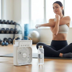 Portable Cooling Ice Fan